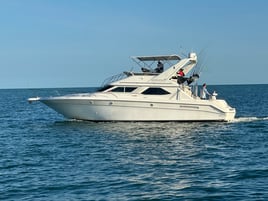 Yellowtail Fishing Trip