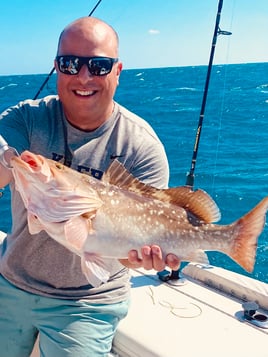 Yellowtail Fishing Trip