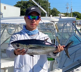 Yellowtail Fishing Trip