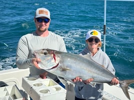 Yellowtail Fishing Trip