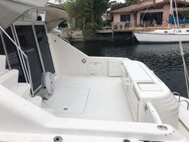 Yellowtail Fishing Trip