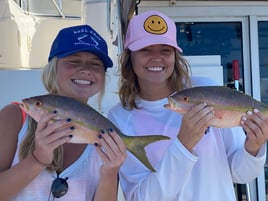 Yellowtail Fishing Trip