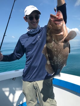 Yellowtail Fishing Trip