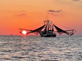 Private Sunset Sightseeing Cruise