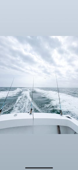 Trolling/ island fishing