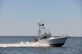 Trolling/ island fishing