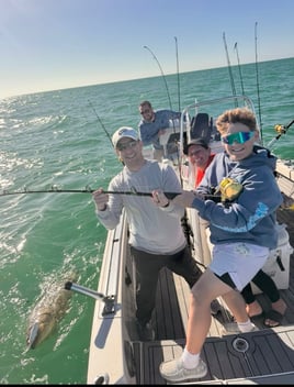 Shelling, Dolphin Watching And More