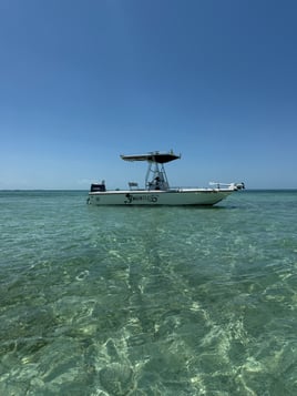 Vibe Like a Key West Local