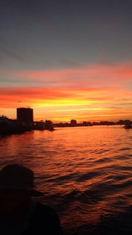 Dolphin/sunset Tours