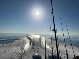 Leisure cruise, Sandbars, Fun time.