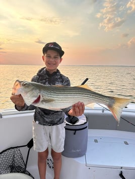 "Reeling in Memories"