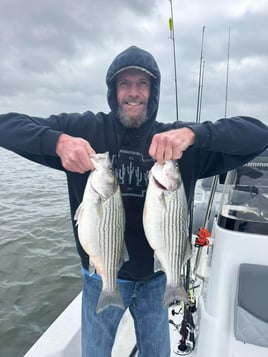 "Reeling in Memories"