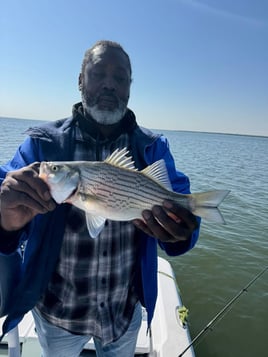 "Reeling in Memories"