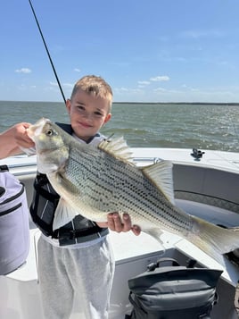 "Reeling in Memories"