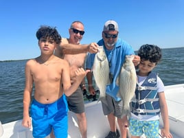 "Reeling in Memories"