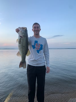 Lake Fayette Bass Fishing