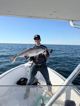 8hr Offshore Trip