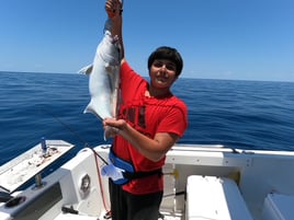 8hr Offshore Trip