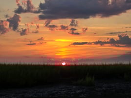 Tours and boat rides.