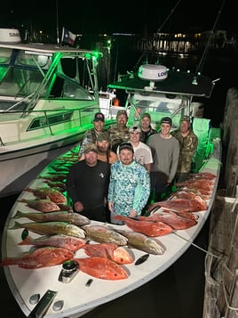6 Hour Red Snapper Trip