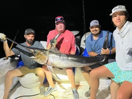 14-24 Hour Swordfish