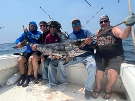 14-24 Hour Swordfish