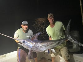 14 Hour Swordfish