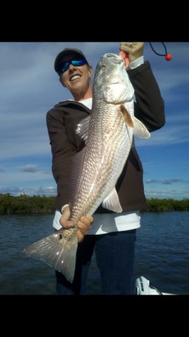 Full Day - Everglades National Park