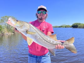 Full Day - Everglades National Park