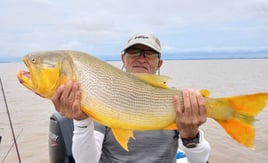 Fishing trips in Argentina