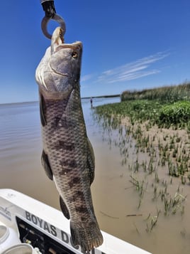 Fishing trips in Argentina