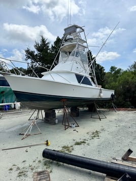 12 hour Deep Sea Fishing