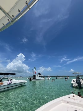 4 Hour Sand Bar Tour