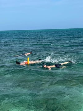 Snorkeling or Sandbar Trip