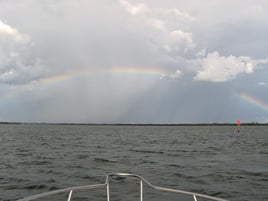 Bradenton Eco Tours