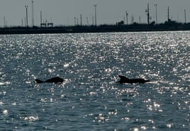 Sunset Cruise Just for You