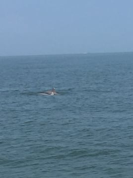 Sunset Cruise Just for You