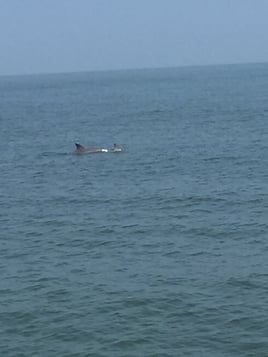 Sunset Cruise Just for You