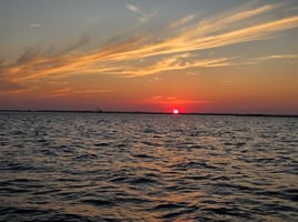 Coastal GA Boat Tours (90 min)