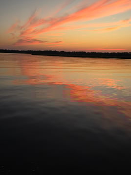 Coastal GA Boat Tours (90 min)