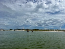 Dolphin and snorkeling tours