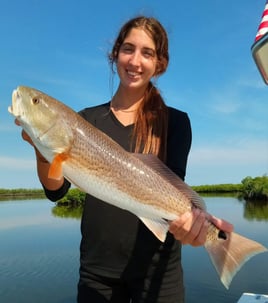 Half Day - Ten Thousand Islands