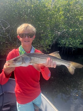 Half Day - Ten Thousand Islands