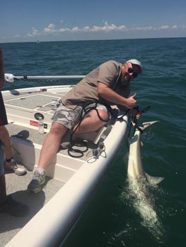 Half Day Shark Trip
