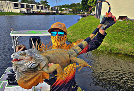 Iguana Hunting Adventure 