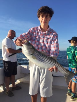 Hybrid Striped Bass Fishing in Port Washington, New York