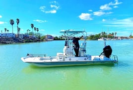 2 hour Dolphin Watch 2 passengers 