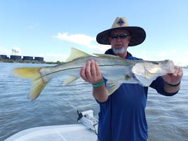 Port Brownsville Ship Channel Snook