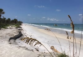 St Pete Sand Bar, Eco Tours 25 ft 