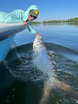 Tarpon Fishing Puerto Rico